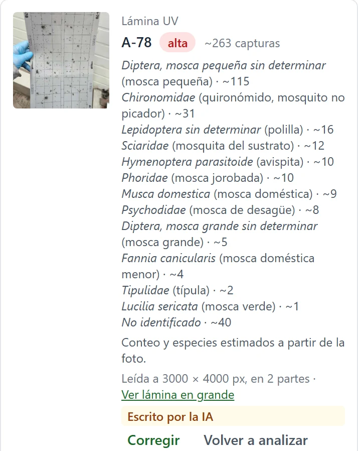 Análisis de una lámina UV hecho por la inteligencia artificial
